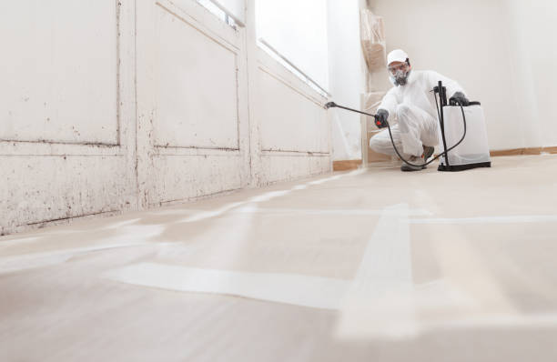 24/7 Emergency Mold Testing experts in Pendleton, OR